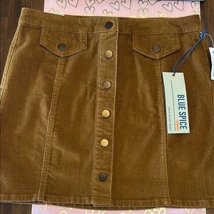 women’s brown corduroy skirt, size 9. New with tags.